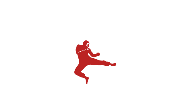 Taylor Martial Arts